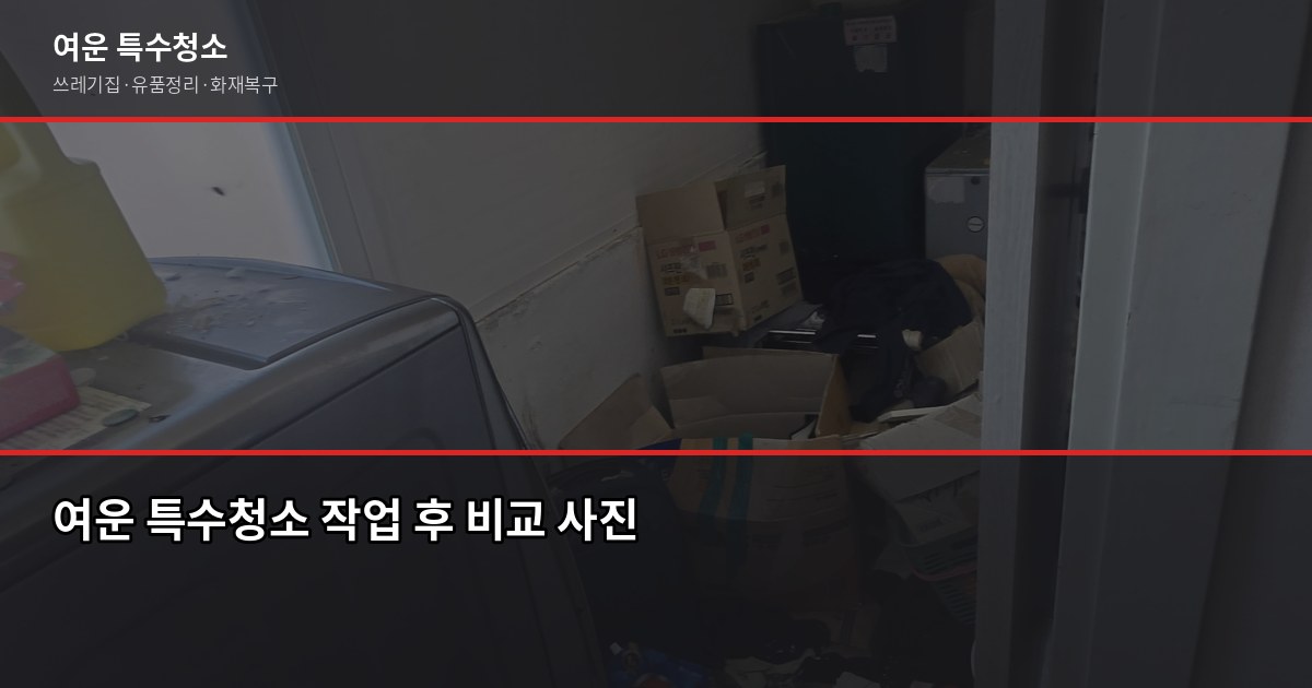 도봉구 특수청소 가격, 현장 보기 전에 알아두면 좋은 것들 6