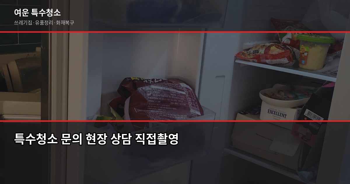 야탑역 특수청소 전화번호, 성남 분당 당일 출동 가능한 곳 찾는 법 6