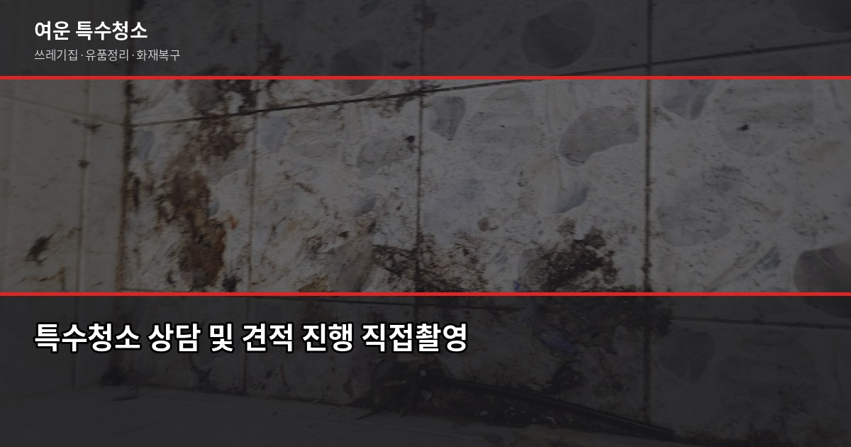 원미구 특수청소 추천, 쓰레기집·고독사·유품정리 업체 고르는 법 6