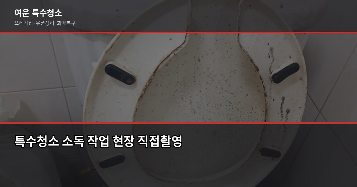 부평구 특수청소 전화번호, 긴급 상황에서 바로 쓰는 안내 6