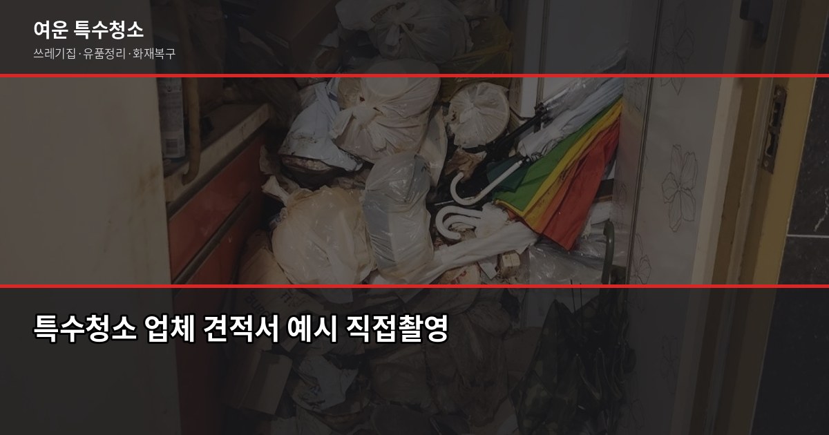 분당 특수청소 전화번호 찾기 전에 확인할 것들 6