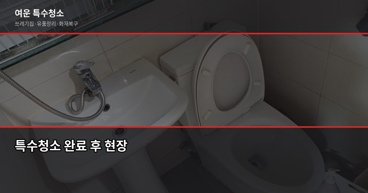 수원 특수청소 비용과 진행 방식, 처음이라면 이렇게 준비하세요 6