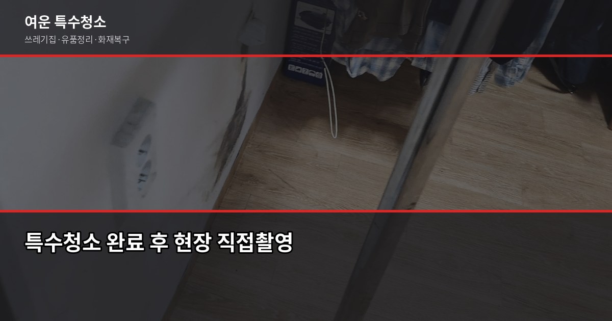 김포 특수청소 추천, 업체 고를 때 이것만 보세요 6