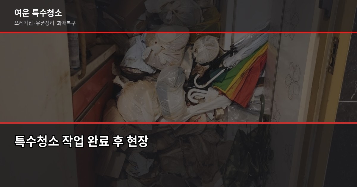 평택 특수청소 가격, 얼마부터 시작할까요? 6