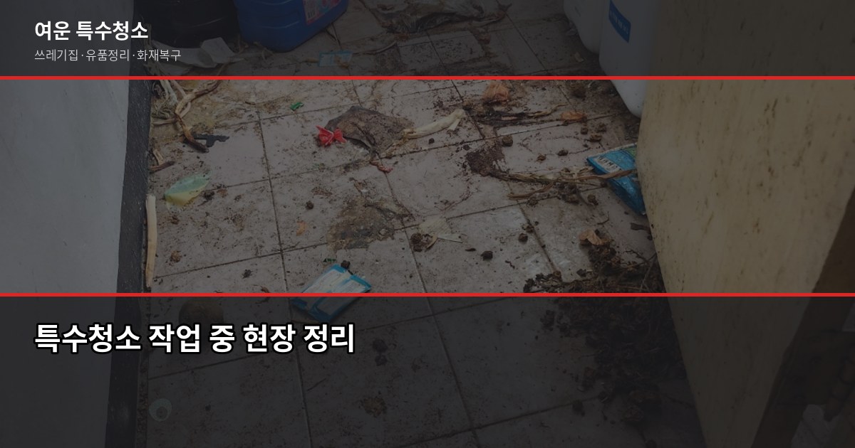 수지구 특수청소 예약, 어디서부터 시작해야 할까요 6