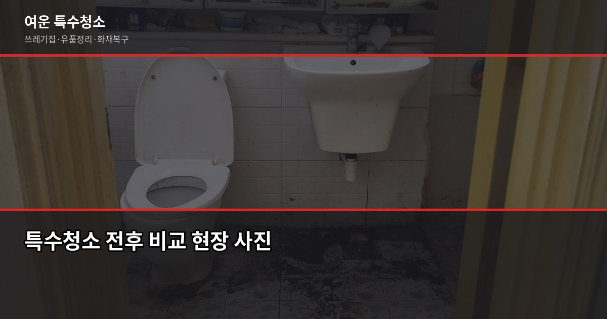의정부 특수청소 예약, 당일 상담 가능한 방법과 절차 6