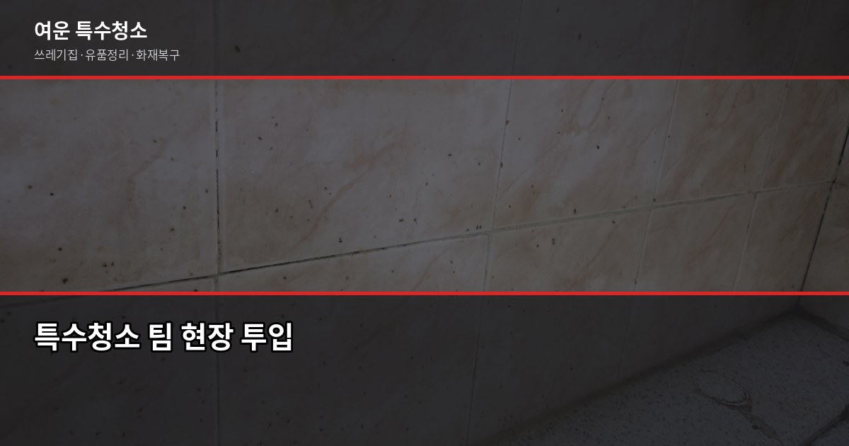인천 특수청소 전화번호, 업체 부르기 전에 확인할 것들 6
