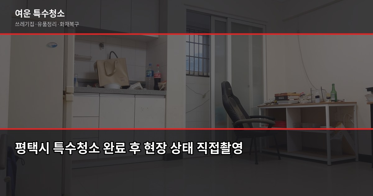 평택시 특수청소 추천, 쓰레기집·고독사·유품정리 실제 진행 방식 6
