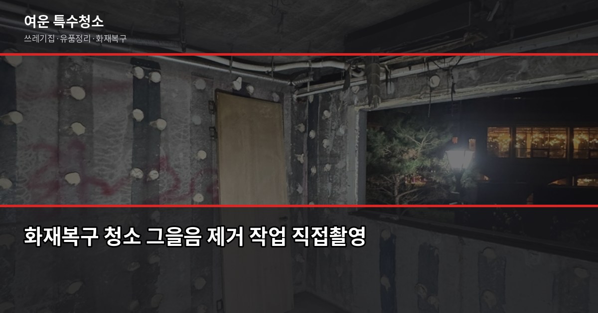 영통구 특수청소, 쓰레기집·고독사·화재복구 현장에서 직접 본 것들 6