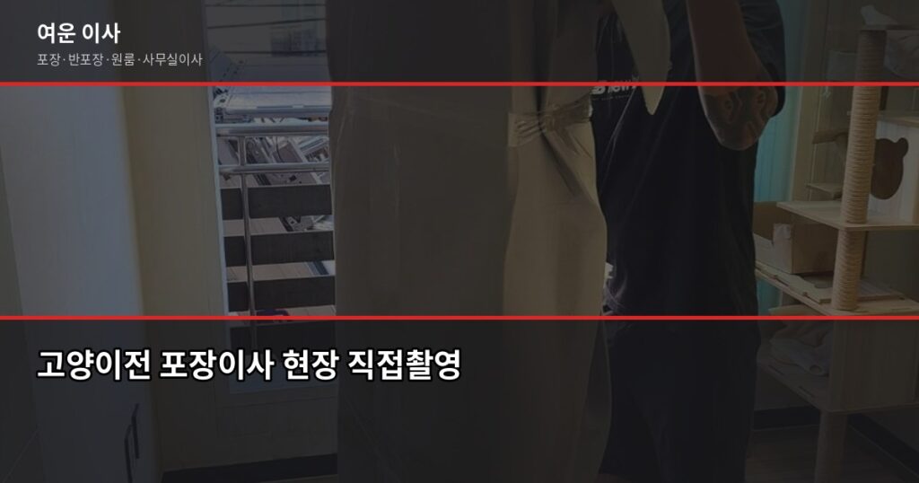 고양이전 비용, 지역별 평수·톤수별 실제 견적 정리 - 고양이전 포장이사 현장 직접촬영
