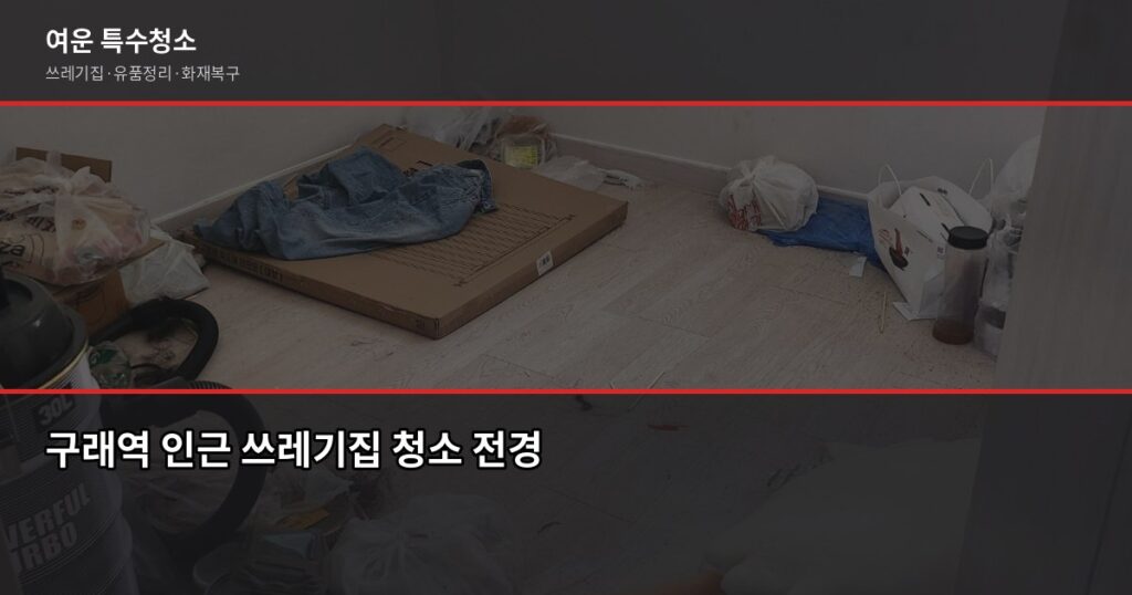 구래역 쓰레기집 청소 비용, 현장 오염도가 전부입니다 - 구래역 인근 쓰레기집 청소 전경