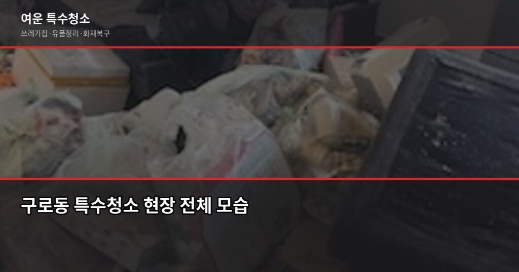 구로동 특수청소 비용과 업체 고르는 법 - 구로동 특수청소 현장 전체 모습
