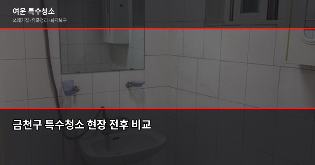 금천구 특수청소 전화번호, 업체 부르기 전에 확인할 것들 - 금천구 특수청소 현장 전후 비교