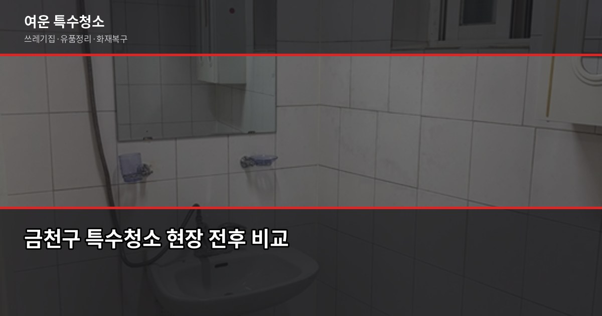 금천구 특수청소 전화번호, 업체 부르기 전에 확인할 것들 1