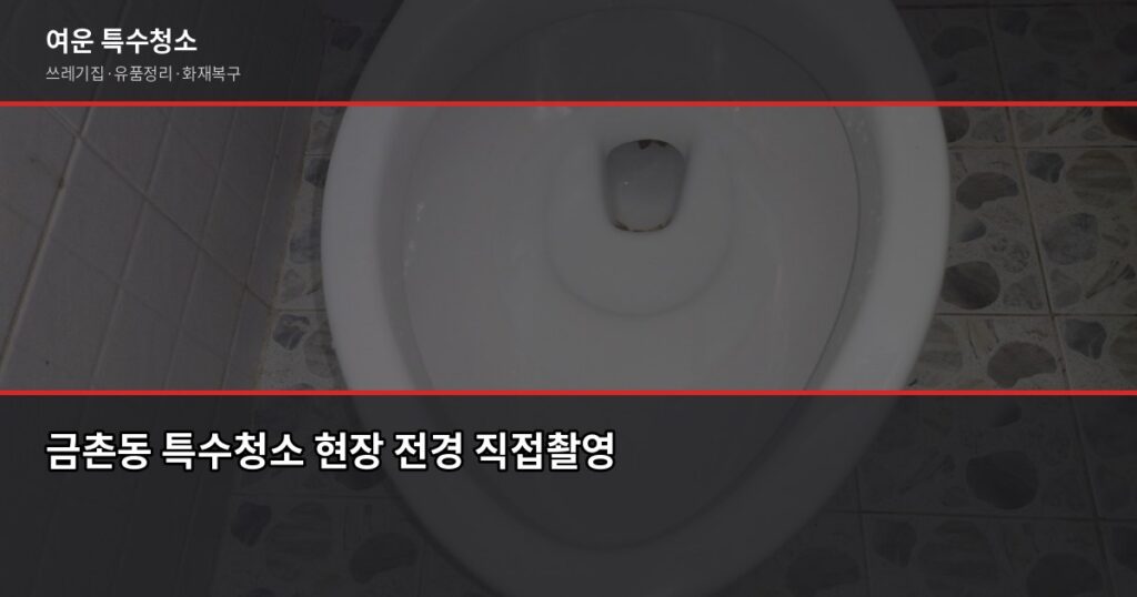 금촌동 특수청소, 업체 고르기 전에 확인할 것들 - 금촌동 특수청소 현장 전경 직접촬영