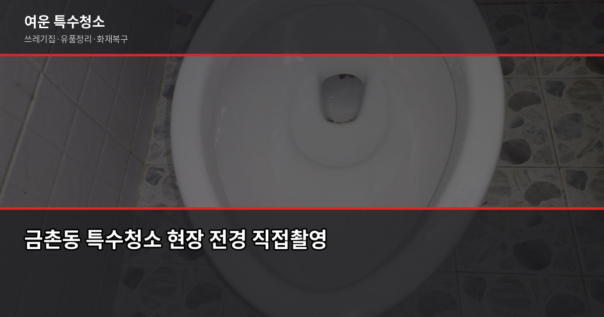 금촌동 특수청소, 업체 고르기 전에 확인할 것들 1