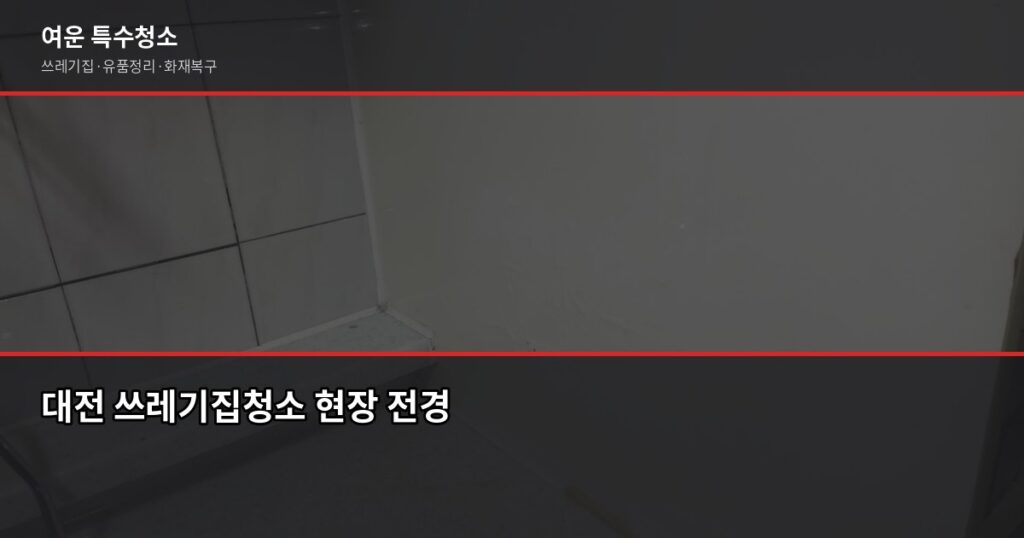 대전 쓰레기집청소 비용, 오염도·폐기물 양이 결정합니다 - 대전 쓰레기집청소 현장 전경