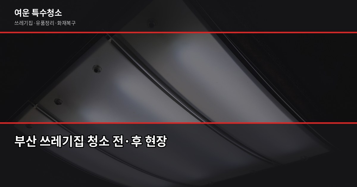 부산 쓰레기집 청소 비용, 오염도별로 얼마나 다를까 1