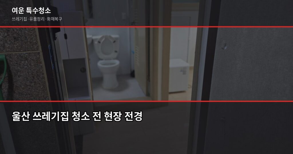 울산 쓰레기집청소 비용과 작업 절차, 의뢰 전 알아야 할 것 - 울산 쓰레기집 청소 전 현장 전경