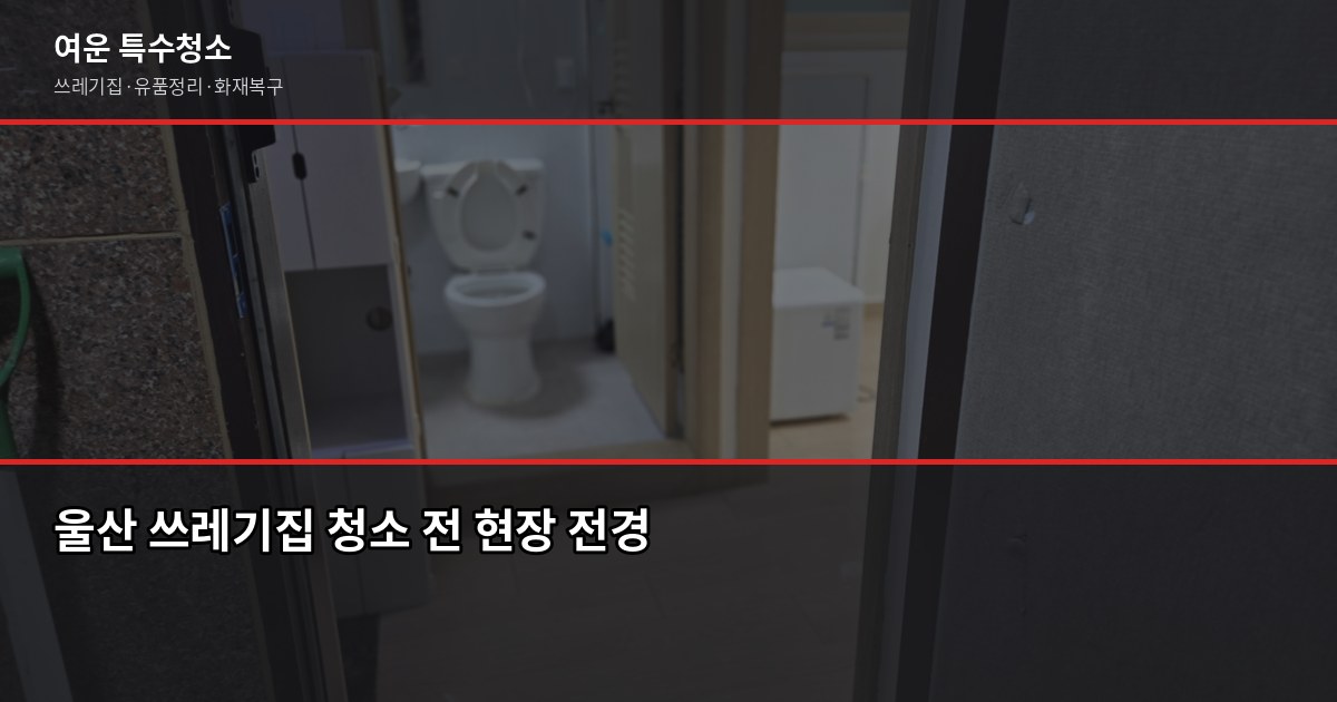 울산 쓰레기집청소 비용과 작업 절차, 의뢰 전 알아야 할 것 1
