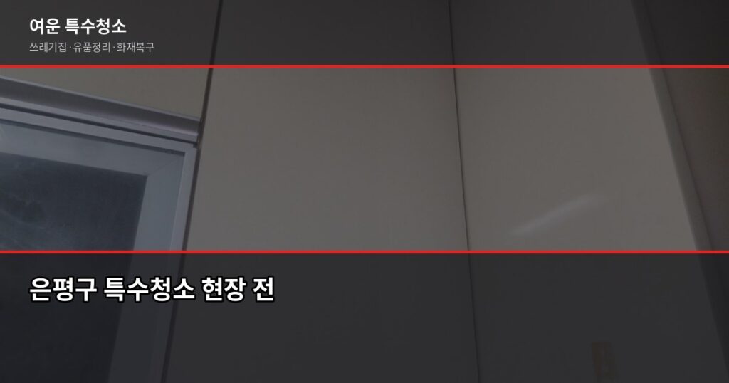 은평구 특수청소 비용과 업체 고르는 법, 처음이라면 이것부터 - 은평구 특수청소 현장 전