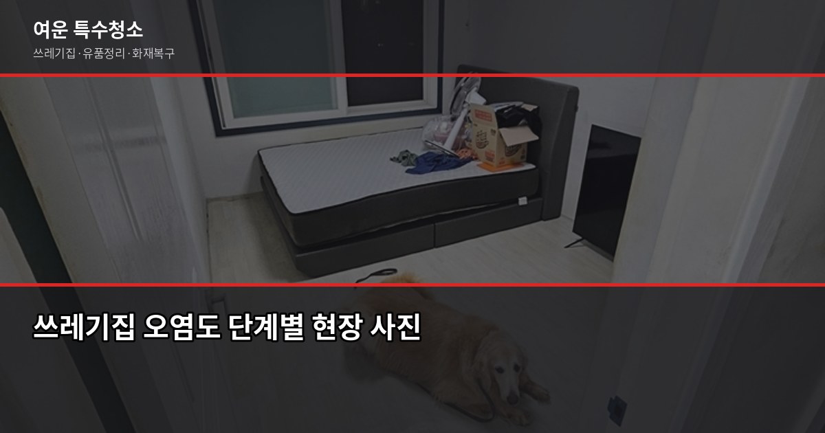 구미 쓰레기집청소 비용과 업체 고르는 기준 2
