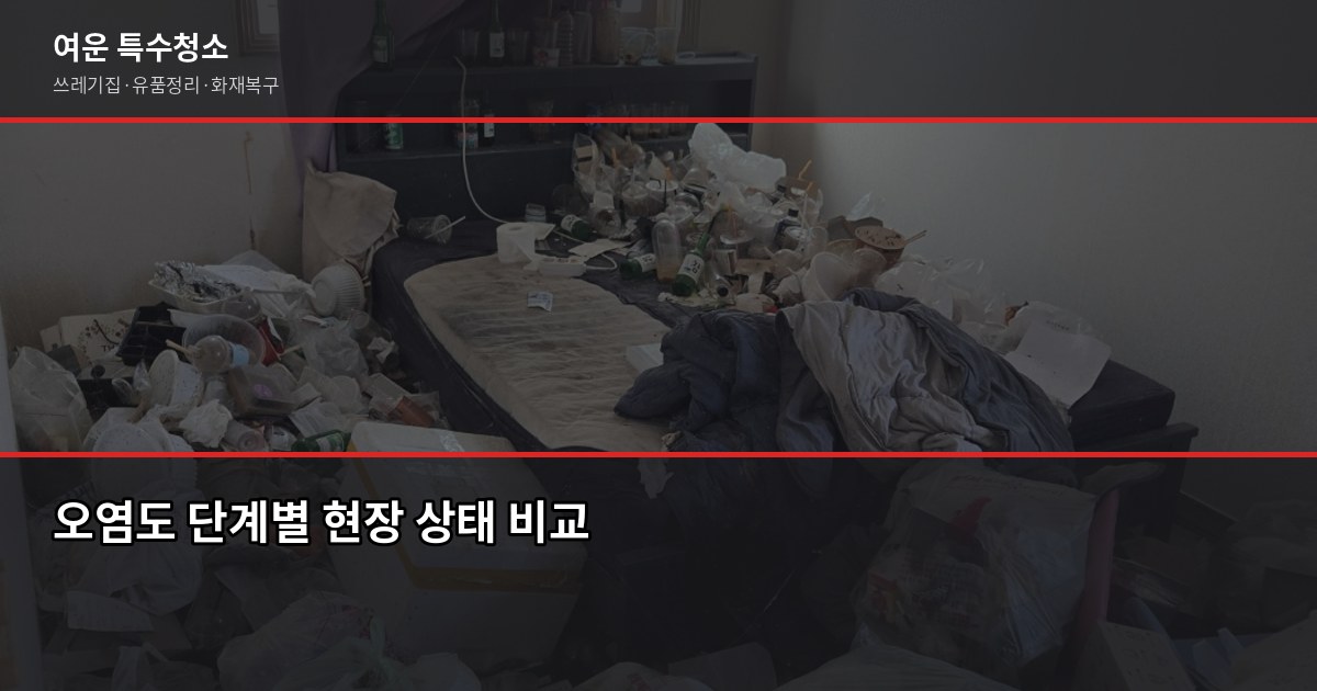 부산 쓰레기집 청소 비용, 오염도별로 얼마나 다를까 2