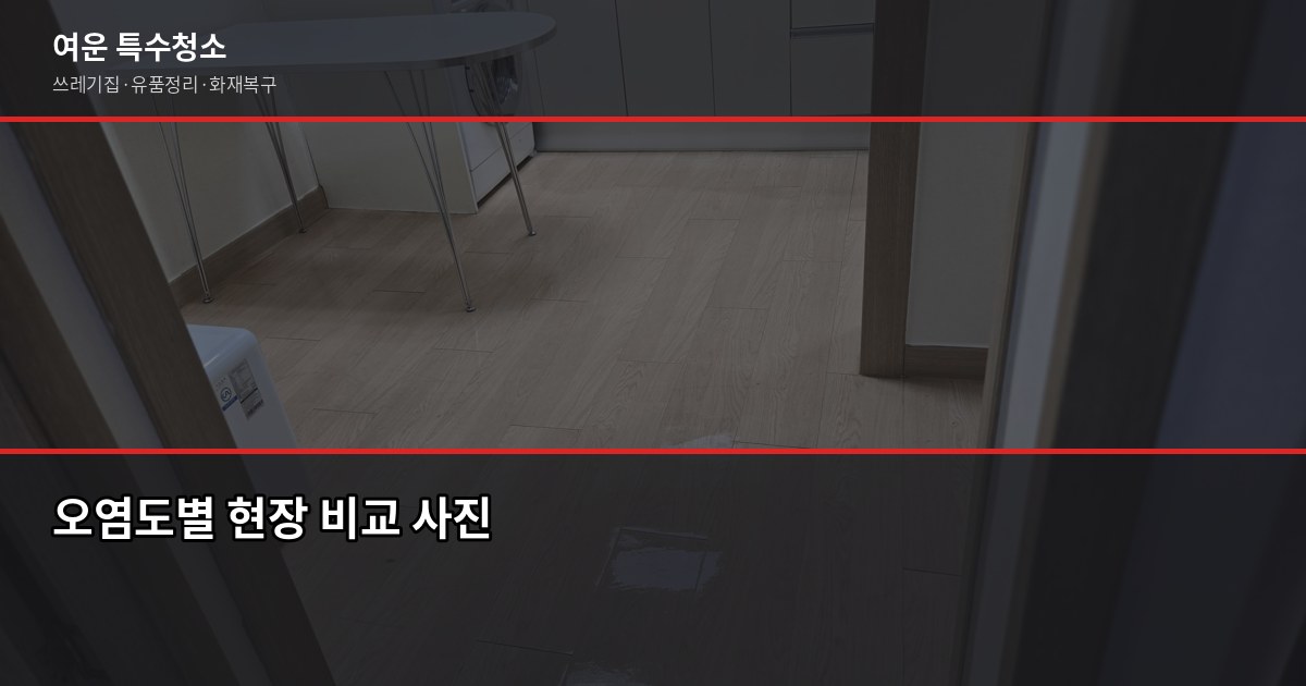 울산 쓰레기집청소 비용과 작업 절차, 의뢰 전 알아야 할 것 2