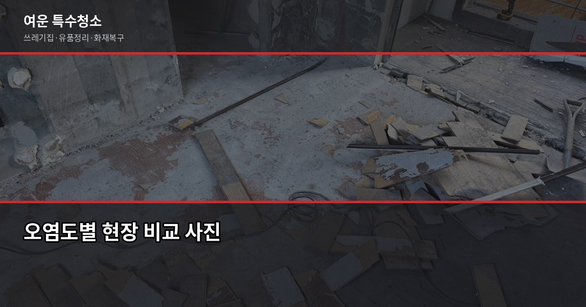 포항 쓰레기집 청소 비용과 업체 선택 기준 2