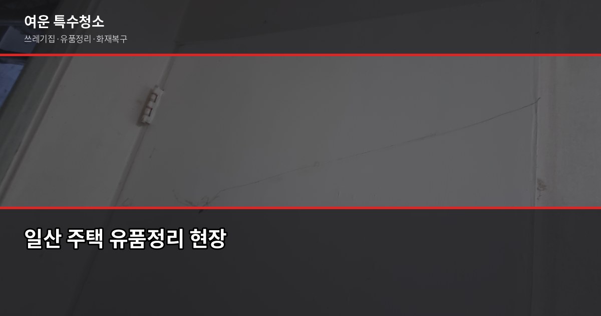일산 유품정리, 현금·서류부터 처리하는 게 맞습니다 2