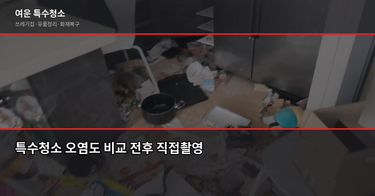산본동 특수청소 예약 전에 확인할 것들, 현장마다 다른 이유 2