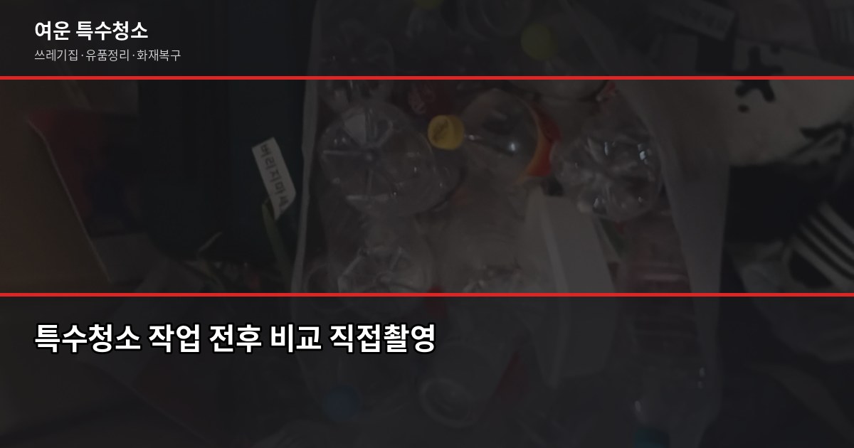 의정부 특수청소 예약 전 꼭 확인할 것들 2