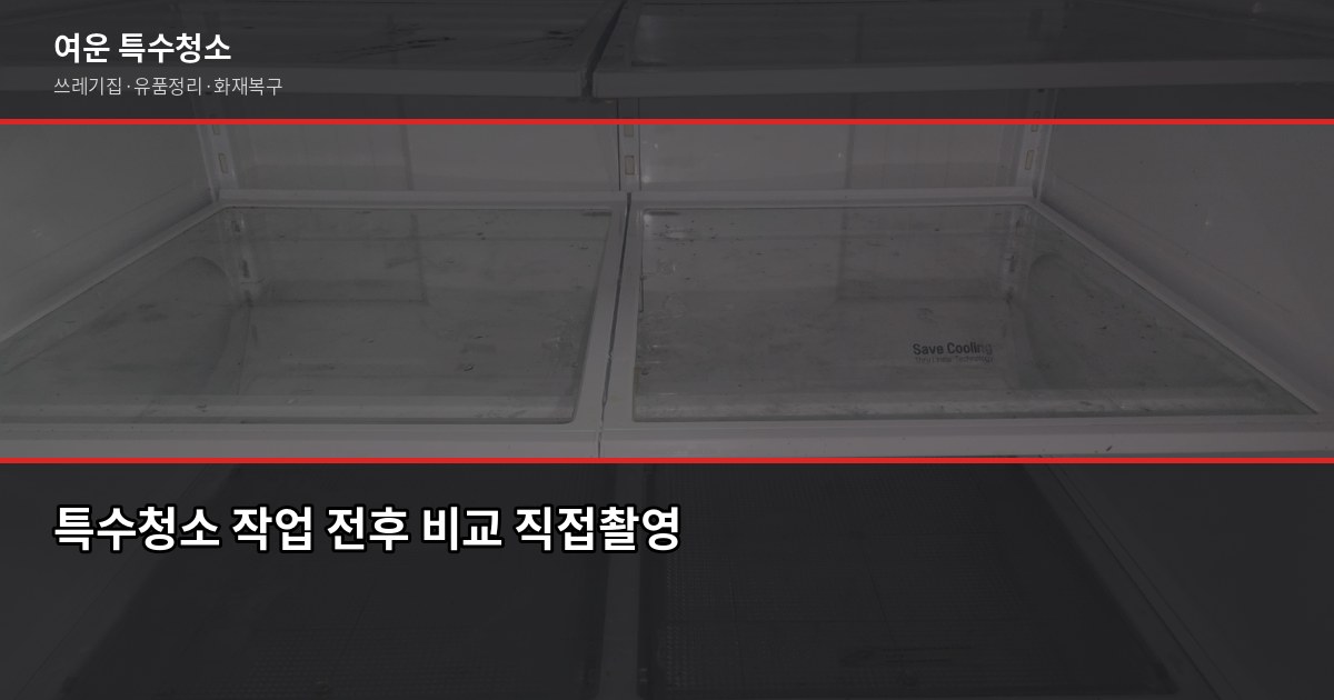 금촌동 특수청소, 업체 고르기 전에 확인할 것들 2