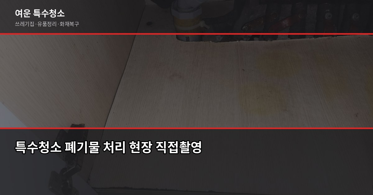 미사 특수청소 비용과 업체 고르는 법, 이것만 확인하세요 2