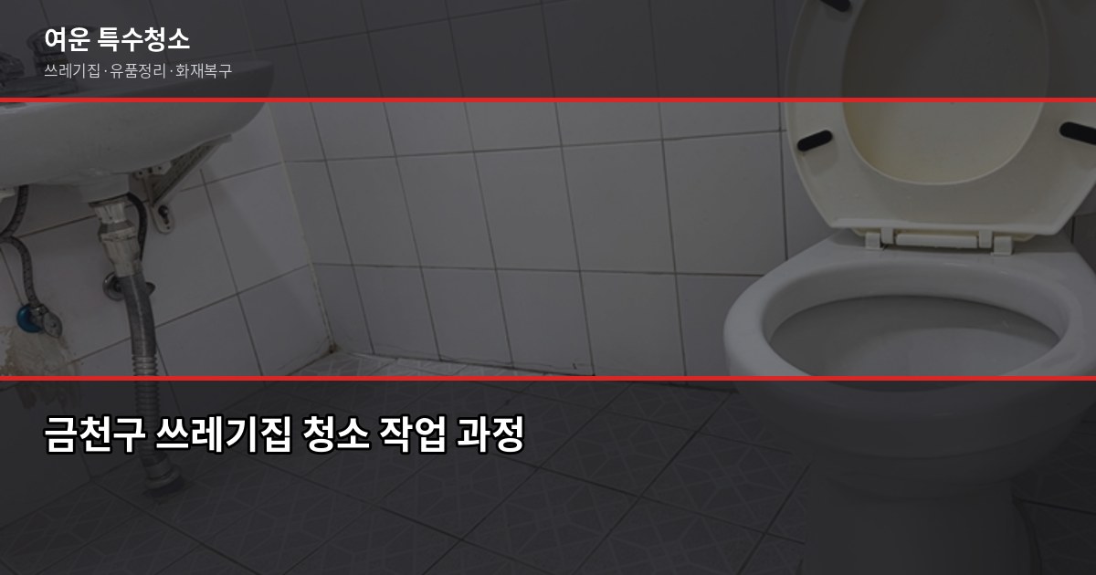 금천구 특수청소 전화번호, 업체 부르기 전에 확인할 것들 3