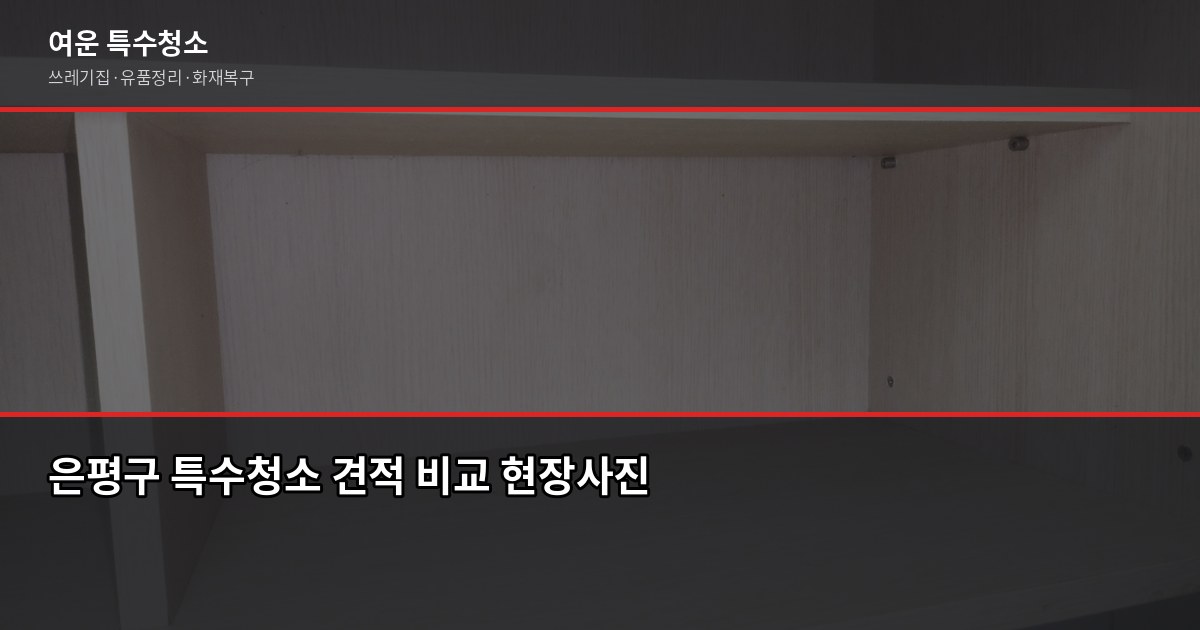 은평구 특수청소 비용과 업체 고르는 법, 처음이라면 이것부터 3