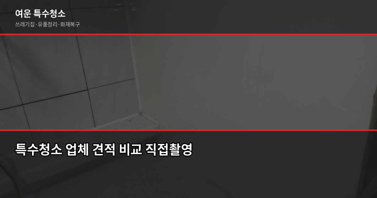 미사 특수청소 비용과 업체 고르는 법, 이것만 확인하세요 3