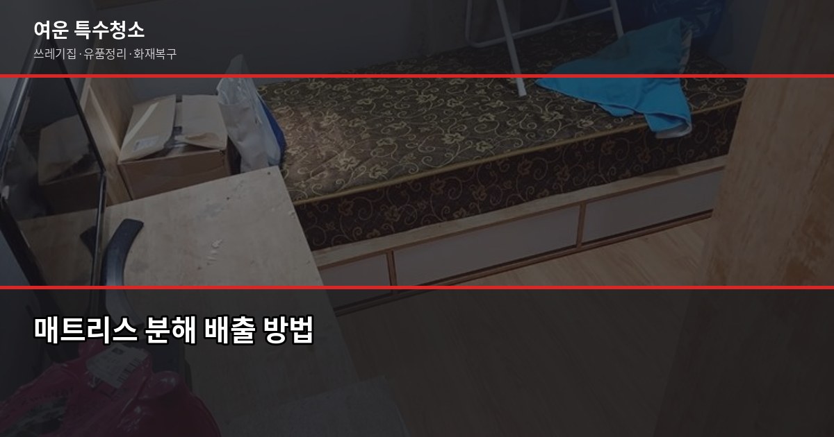대전 대형폐기물 버리는 법, 무단투기 100만원 과태료 피하기 4