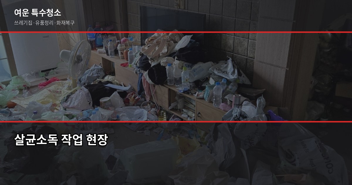 부산 쓰레기집 청소 비용, 오염도별로 얼마나 다를까 4