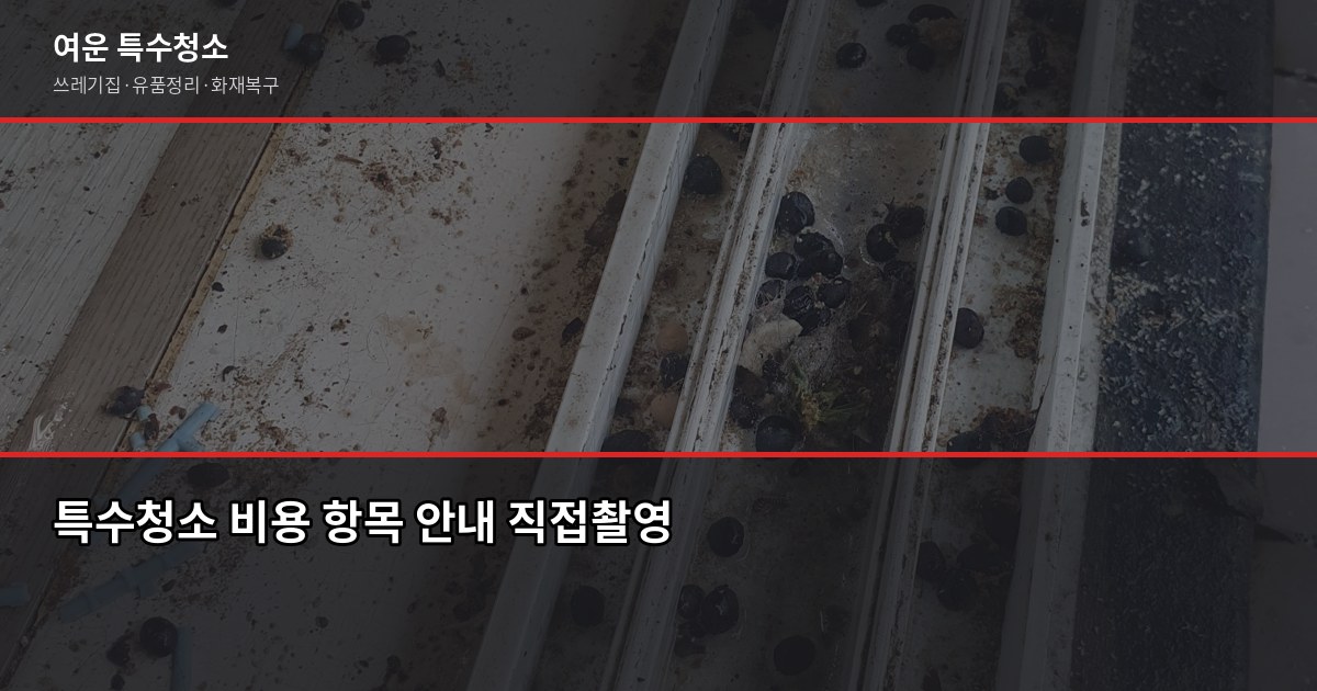 의정부 특수청소 예약 전 꼭 확인할 것들 4
