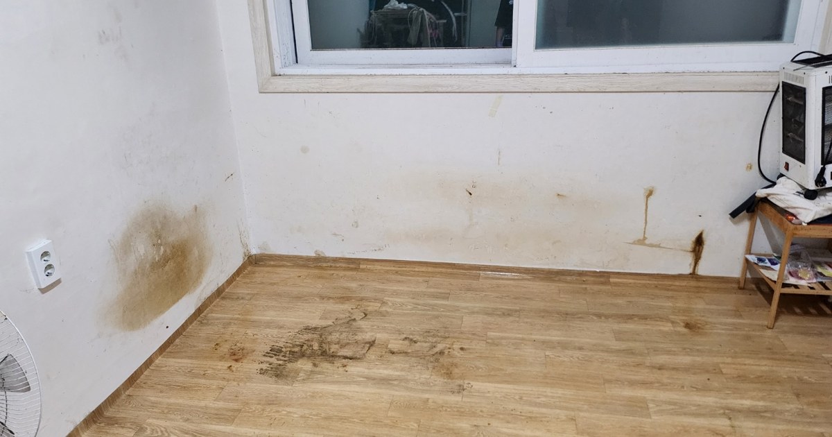 광주 집정리, 혼자서는 못 하는 이유와 비용 안내 5