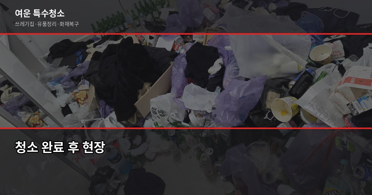 부산 쓰레기집 청소 비용, 오염도별로 얼마나 다를까 5
