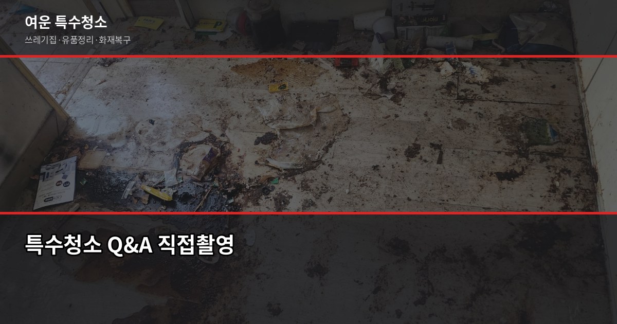 의정부 특수청소 예약 전 꼭 확인할 것들 5