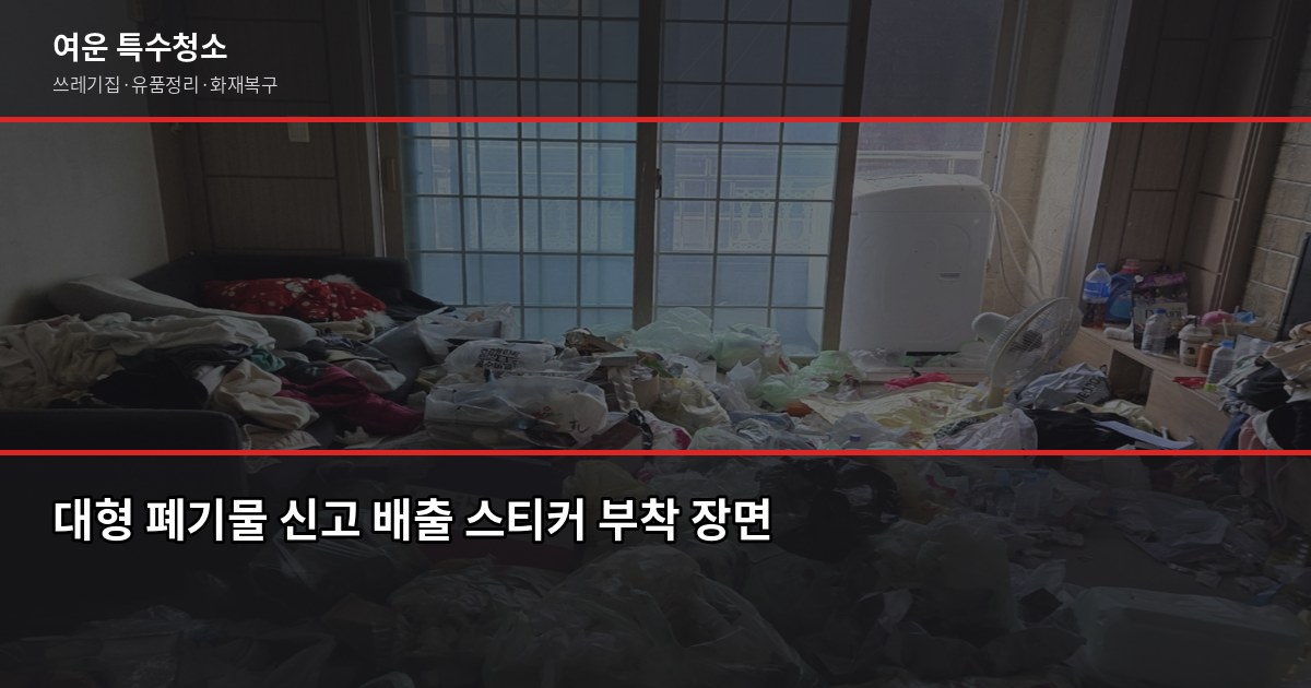 청주 쓰레기집 청소 비용, 오염도별로 얼마나 달라질까 6