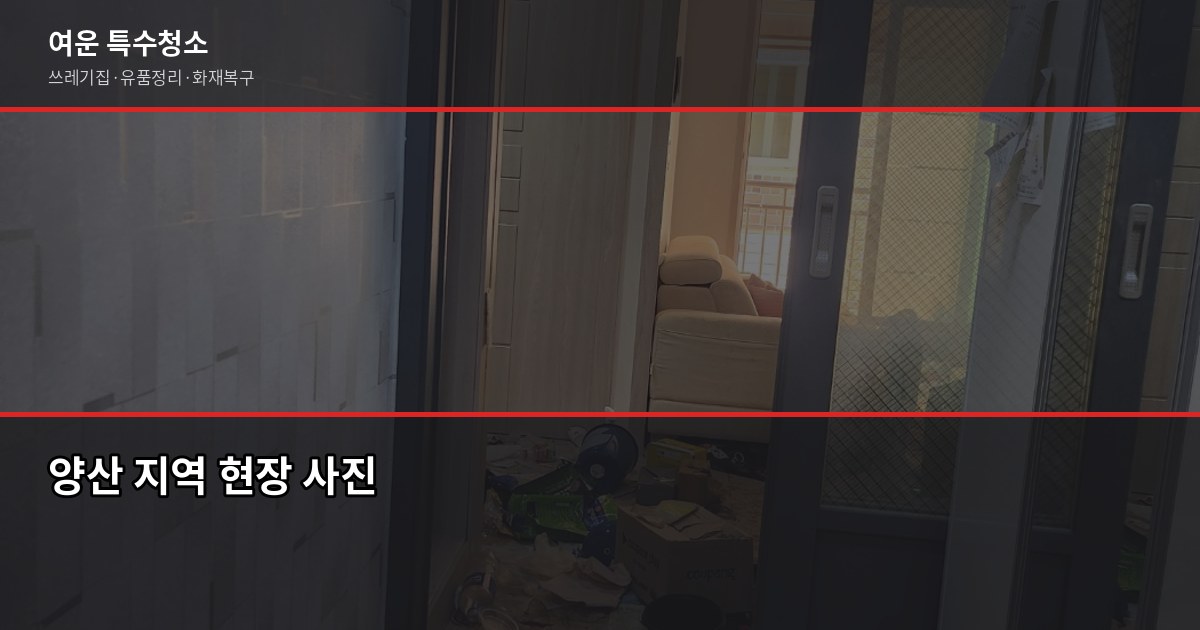 양산 쓰레기집청소, 현장에서 본 오염도별 비용과 셀프 vs 업체 판단법 6