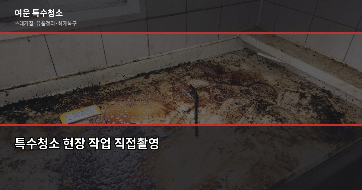 의정부 특수청소 예약 전 꼭 확인할 것들 6