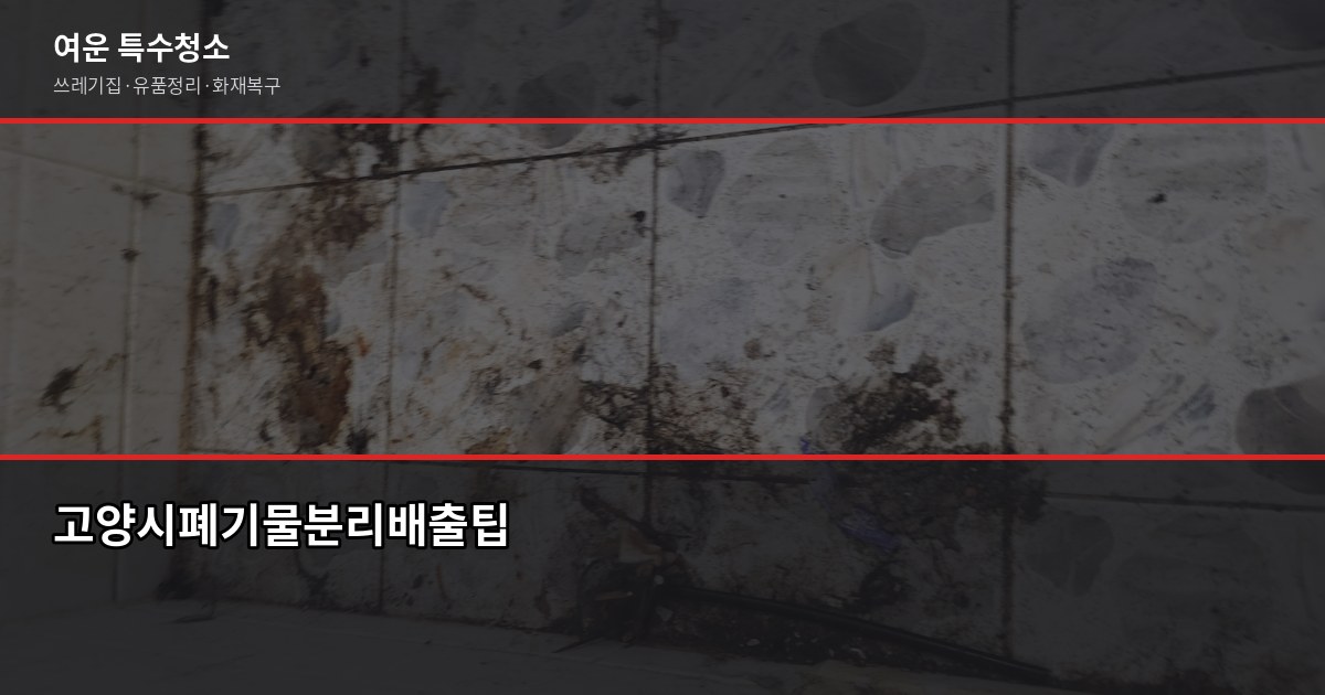 고양시 폐기물처리, 무단투기 전에 알아야 할 5가지 7