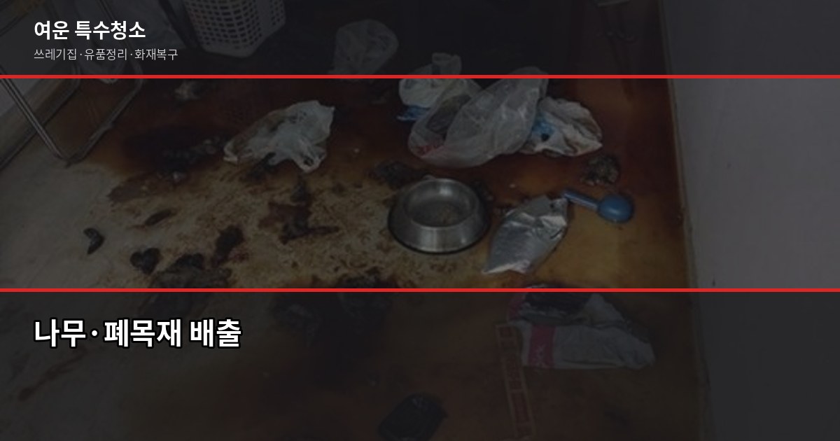 창원폐기물처리, 쓰레기집·고독사 현장 정리 비용 및 처리 절차 7