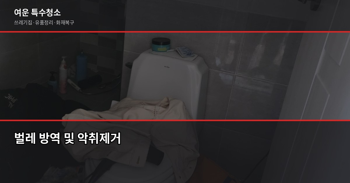 양산 쓰레기집청소, 현장에서 본 오염도별 비용과 셀프 vs 업체 판단법 7