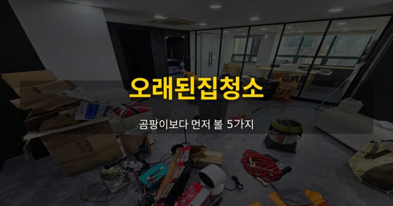 오래된집청소, 곰팡이보다 먼저 볼 5가지